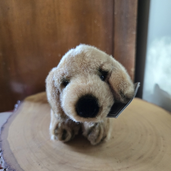 Golden retriever plush, new with tags - Picture 1 of 7